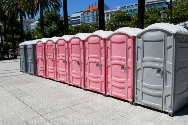 Professional Portable Potty Rental in Napoleon, OH